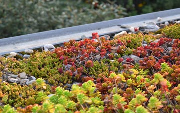 the cost of Little Carlton green roof installation